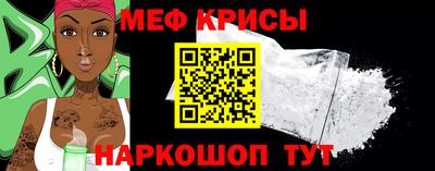 крисы Славгород