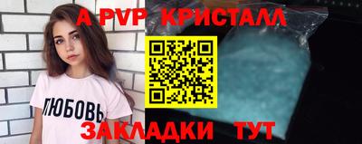 крисы Славгород