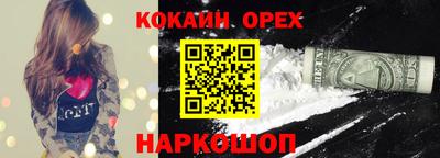 крисы Славгород