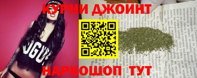 крисы Славгород
