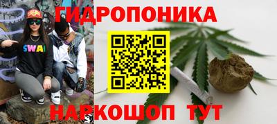 крисы Славгород