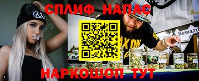 крисы Славгород