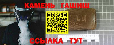 крисы Славгород