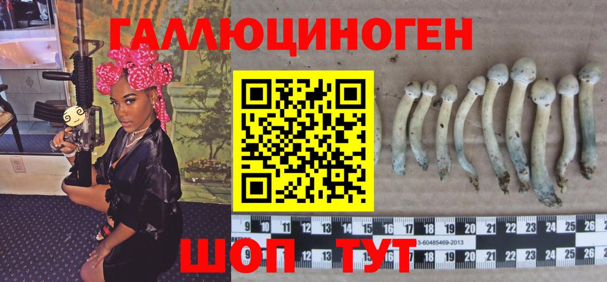 Галлюциногенные грибы ЛСД Светлоград